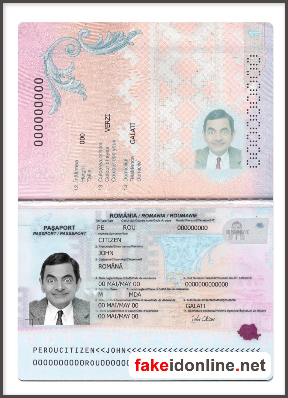 Romania Passport PSD Template